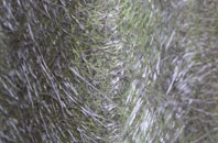 Fiddlers Ferry fibreglass roof work